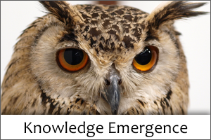 Knowledge Emergence